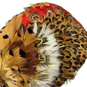 Stunning Colorful Pheasant Feather Woman’s Vintage 1940 Hat Luxury Elegance OSFM Vintage | Accessories | Stunning Colorful Pheasant Feather  main image 2